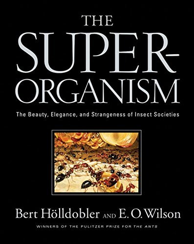 Bert H?lldobler The Superorganism The Beauty Elegance And Strangeness Of Insect S 