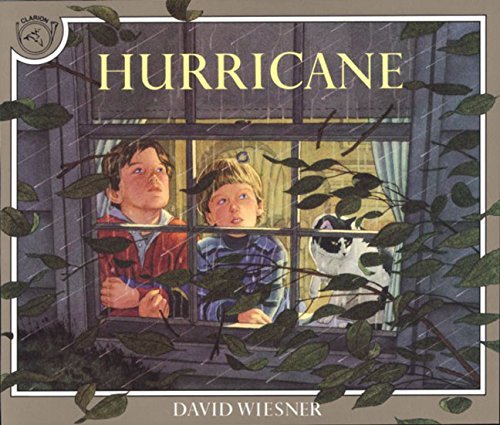 David Wiesner/Hurricane