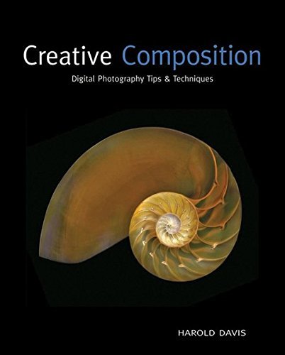 Harold Davis Creative Composition Digital Photography Tips & Techniques 