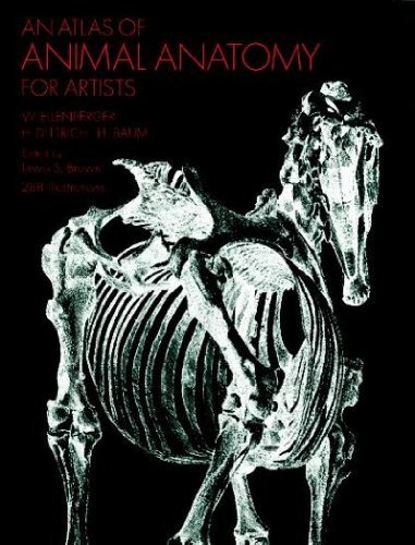 W. Ellenberger An Atlas Of Animal Anatomy For Artists 0002 Edition; 