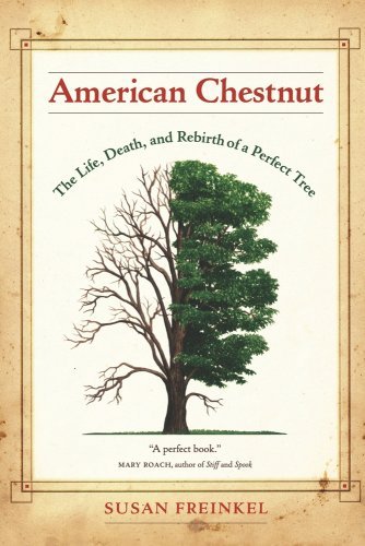 Susan Freinkel American Chestnut The Life Death And Rebirth Of A Perfect Tree 