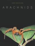 Janet Beccaloni Arachnids 