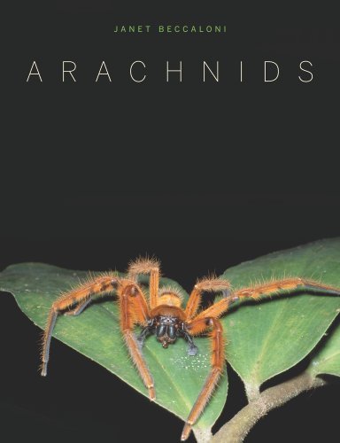 Janet Beccaloni Arachnids 