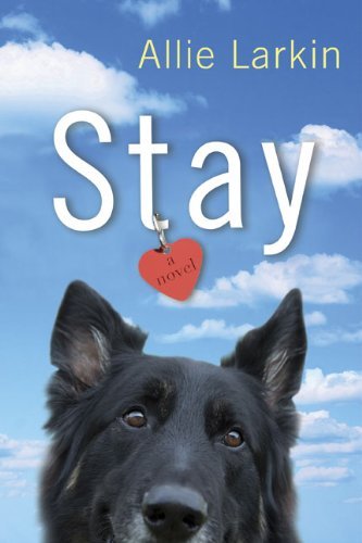 Allie Larkin/Stay