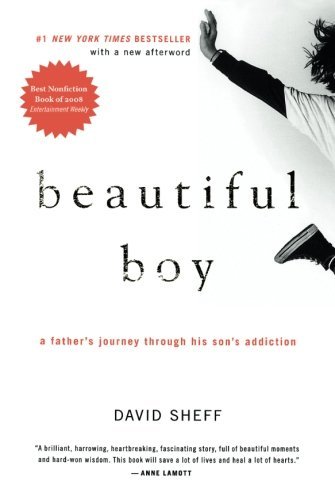 David Sheff/Beautiful Boy@A Father's Journey Through His Son's Addiction