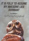 Matt Adrian It Is Folly To Assume My Awesome Lies Dormant The Paintings Of The Mincing Mockingbird 