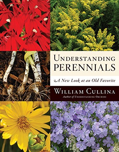 William Cullina Understanding Perennials A New Look At An Old Favorite 