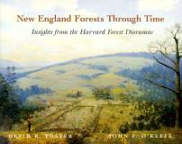 David R. Foster New England Forests Through Time Insights From Th 