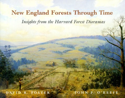 David R. Foster New England Forests Through Time Insights From Th 
