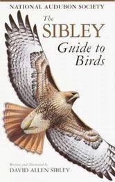 David Allen Sibley/The Sibley Guide to Birds
