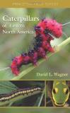 David L. Wagner Caterpillars Of Eastern North America A Guide To Identification And Natural History 