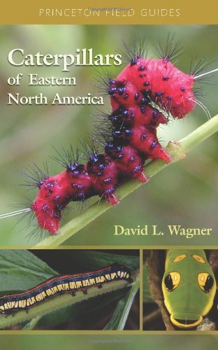 David L. Wagner Caterpillars Of Eastern North America A Guide To Identification And Natural History 