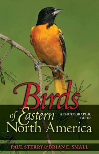 Paul Sterry Birds Of Eastern North America A Photographic Guide A Photographic Guide 