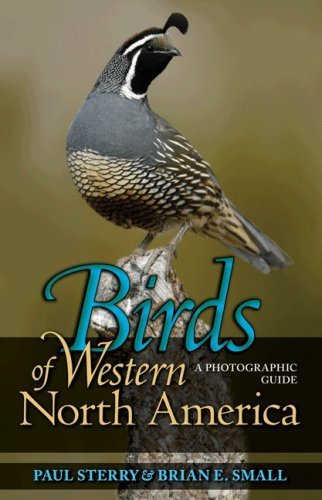 Paul Sterry/Birds Of Western North America@A Photographic Guide A Photographic Guide