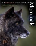 David W. Macdonald The Princeton Encyclopedia Of Mammals 