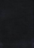 Thomas Nelson Study Bible Nkjv Revised 
