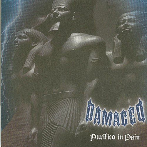 Damaged/Purified In Pain