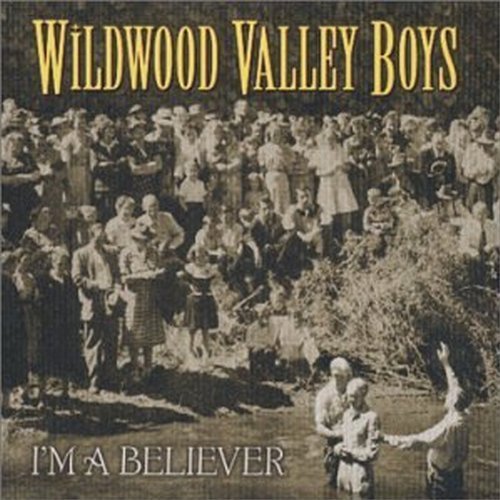 Wildwood Valley Boys I'm A Believer 