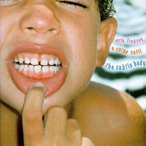 Arto Lindsay/Subtle Body