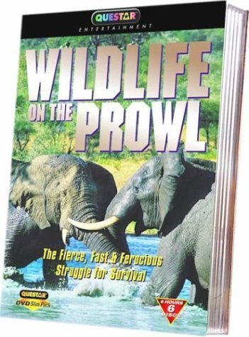 Wildlife On The Prowl Wildlife On The Prowl Nr 
