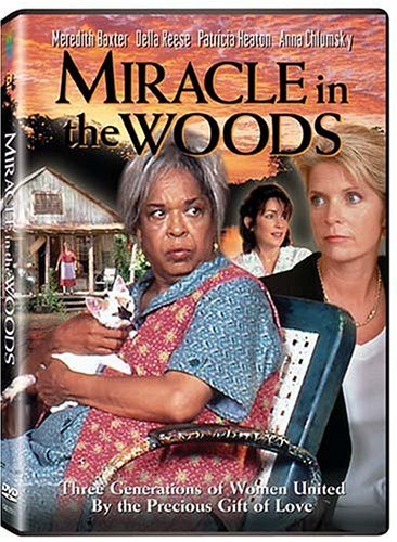 Miracle In The Woods/Miracle In The Woods@Nr