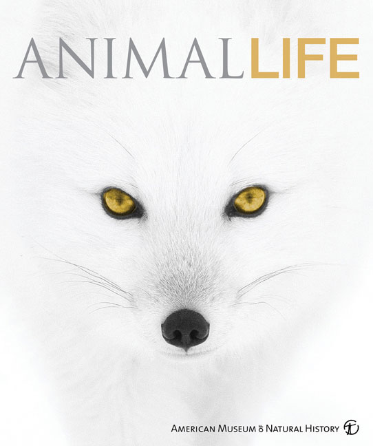 Charlotte Uhlenbroek Animal Life 