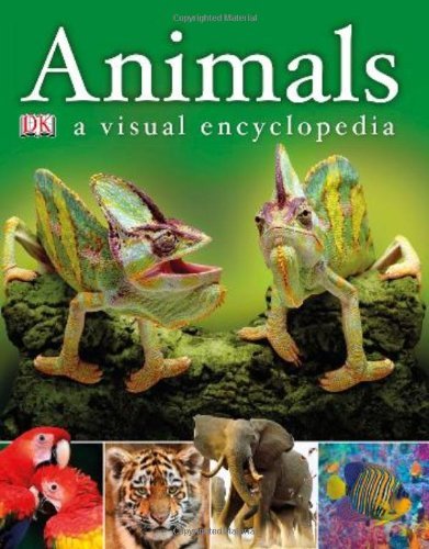 Ann Baggaley Animals A Children's Encyclopedia 