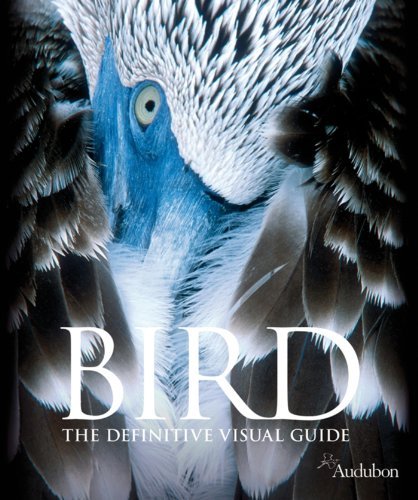 Saloni Talwar Bird The Definitive Visual Guide 