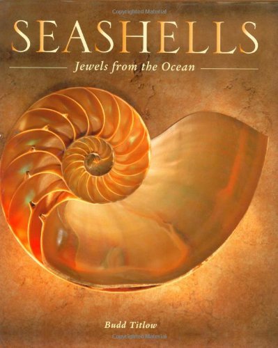 Budd Titlow Seashells Jewels From The Ocean 