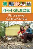 Tara Kindschi Raising Chickens 