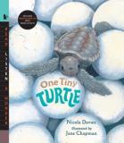 Nicola Davies One Tiny Turtle [with Read Along Cd] 