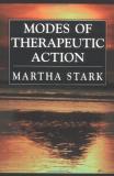 Martha Stark Modes Of Therapeutic Action 