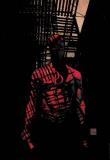 Brian Michael Bendis Daredevil Vol. 9 King Of Hell's Kitchen 