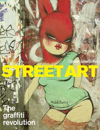 Cedar Lewisohn Street Art The Graffiti Revolution 
