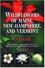 Alan E. Bessette Wildflowers Of Maine New Hampshire And Vermont In Color 