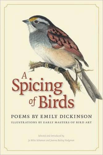 Emily Dickinson A Spicing Of Birds Poems 