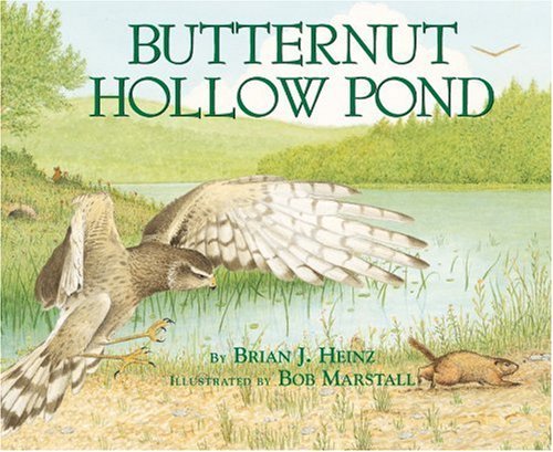 Brian Heinz Butternut Hollow Pond 