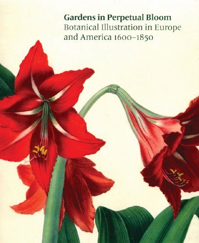 Nancy Keeler Gardens In Perpetual Bloom Botanical Illustration In Europe And America 1600 