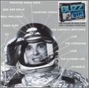 Mtv Buzz Bin/Vol. 2-Mtv Buzz Bin