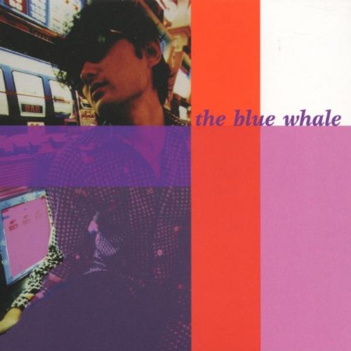 Blue Whale Congregation 