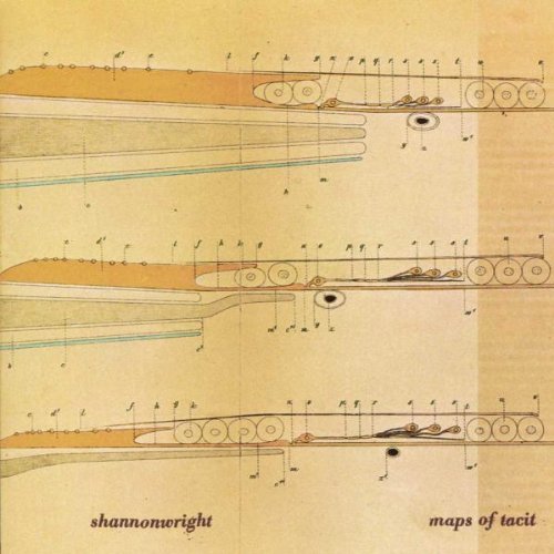 Shannon Wright/Maps Of Tacit