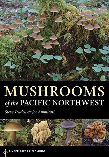 Steve Trudell Mushrooms Of The Pacific Northwest 