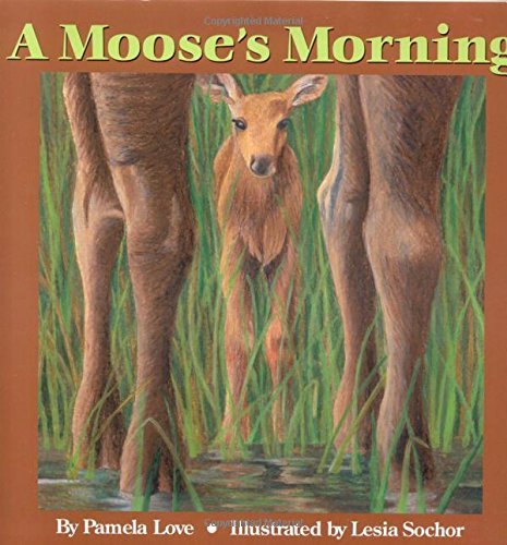 Pamela Love/A Moose's Morning