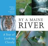 Thomas Mark Szelog By A Maine River A Year Of Looking Closely 