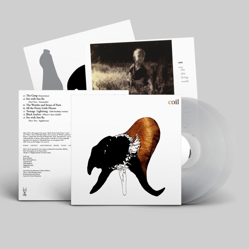Coil/Black Antlers@Amped Exclusive