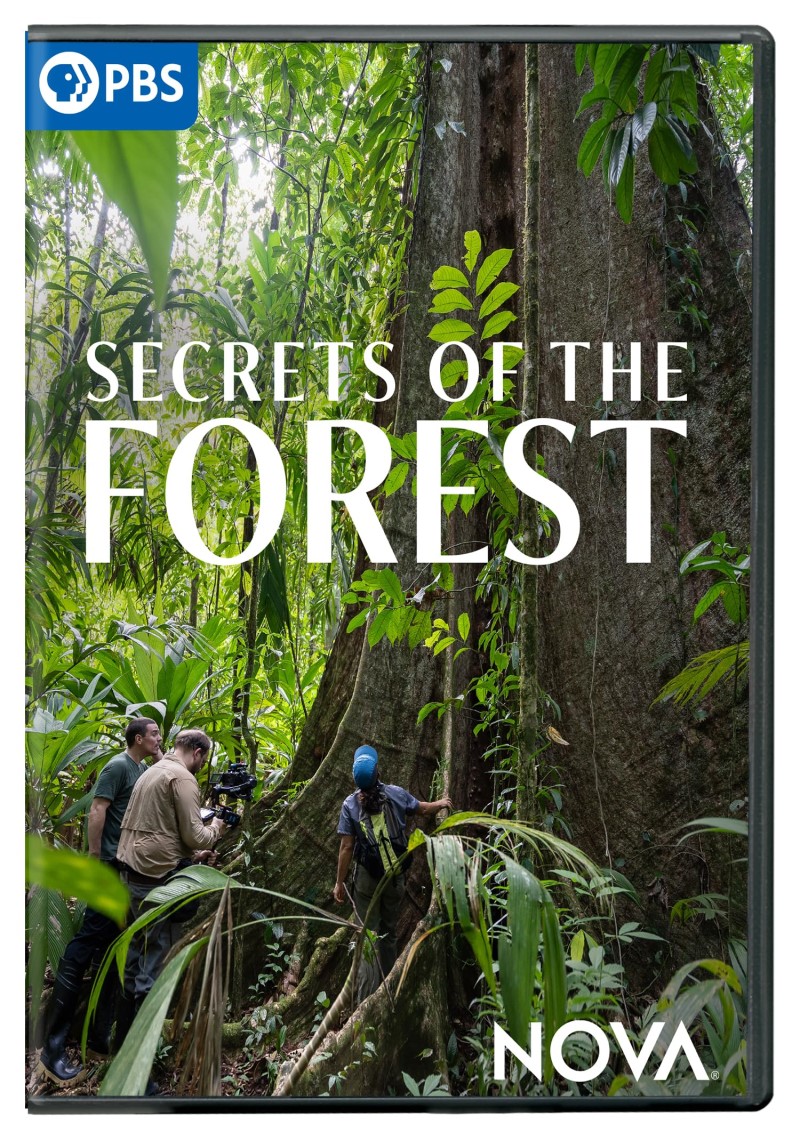 Nova: Secrets Of The Forest/Nova: Secrets Of The Forest