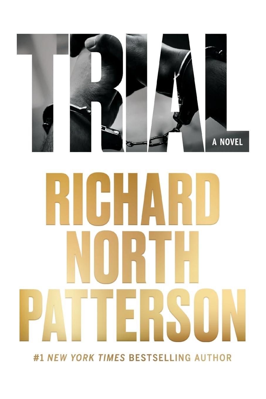 Richard North Patterson/Trial
