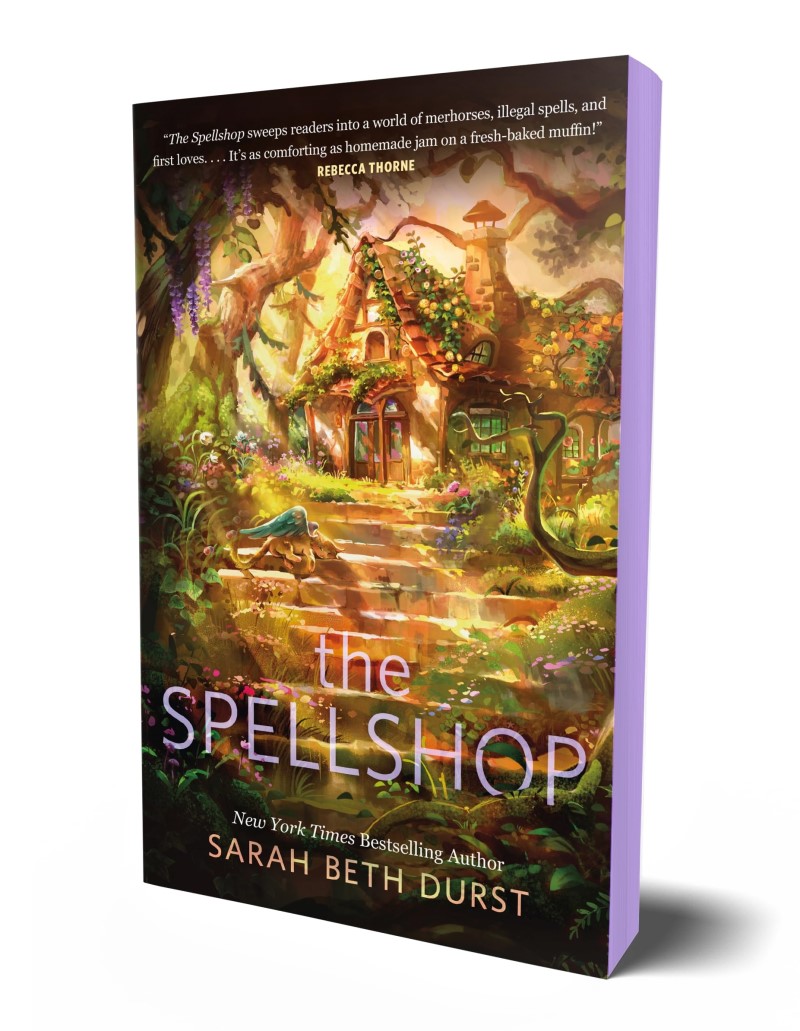 Sarah Beth Durst/The Spellshop