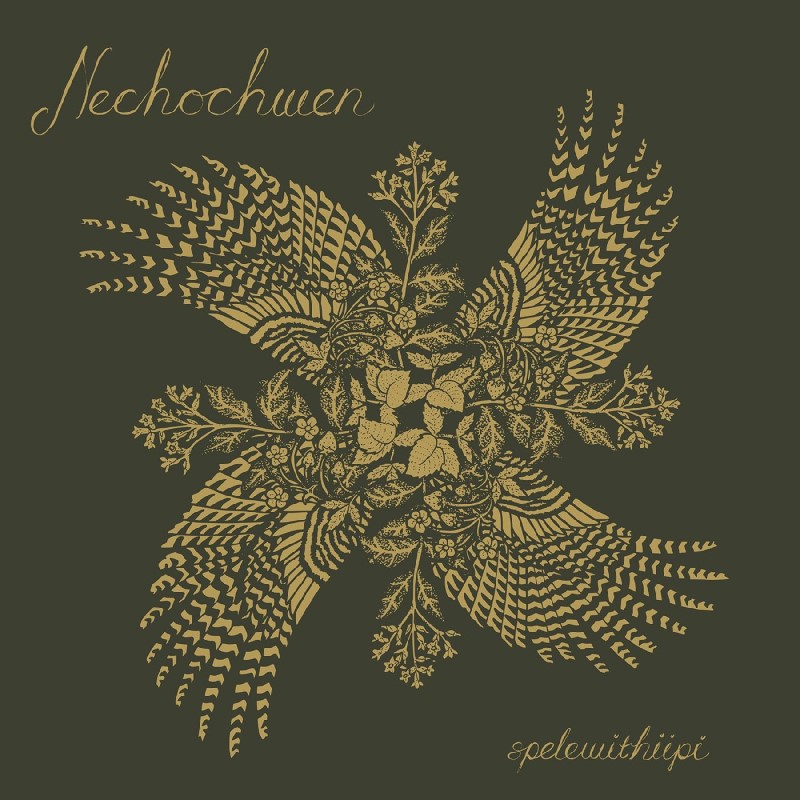 Nechochwen/spelewithiipi