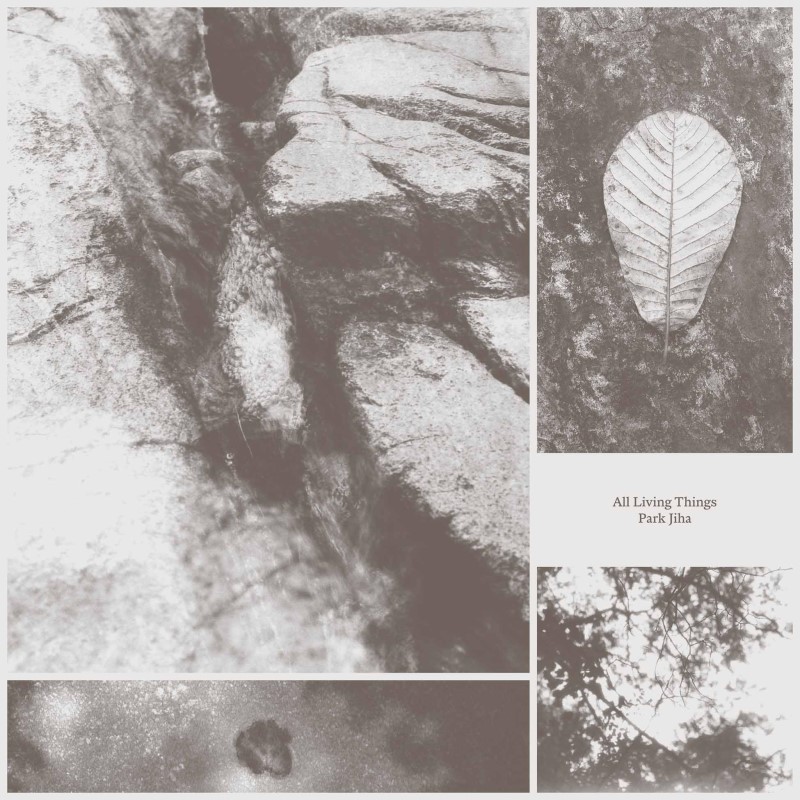 Park Jiha/All Living Things